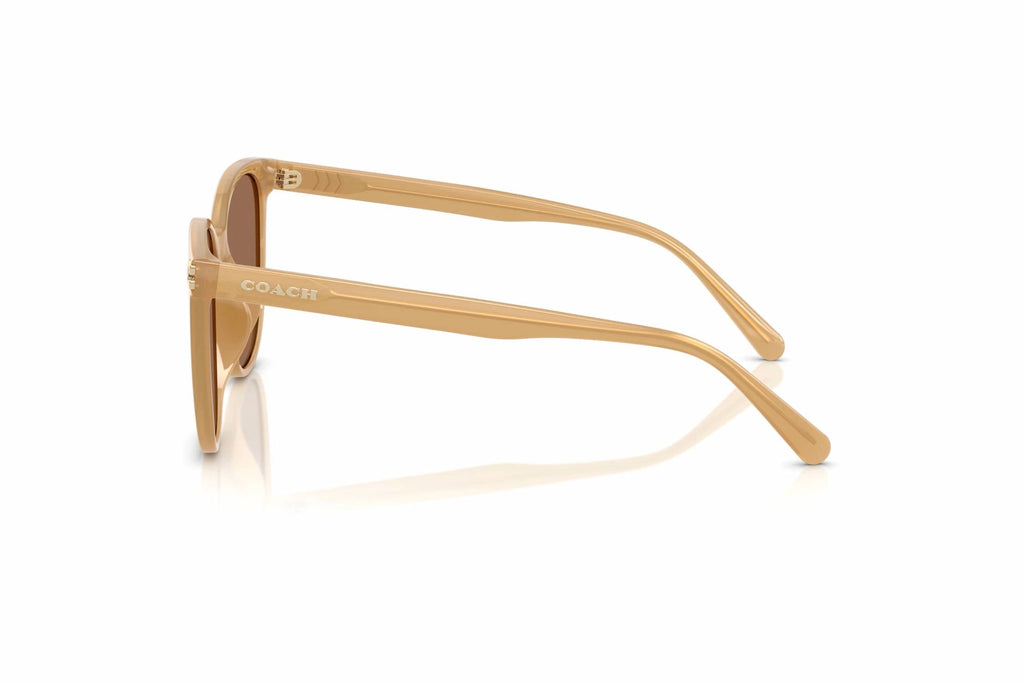 Women's Hc 8414Bd Sunglasses In Milky Tea / Brown Solid
