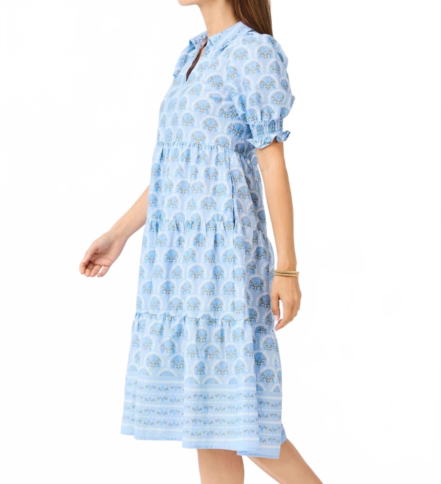 Molly Sunshower Flora Dress In Blue