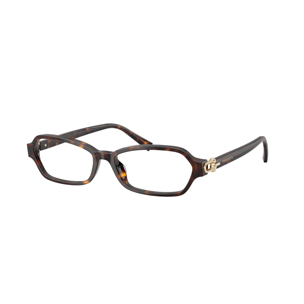 Rectangular Tortoiseshell Acetate Sunglasses With Gold Accents