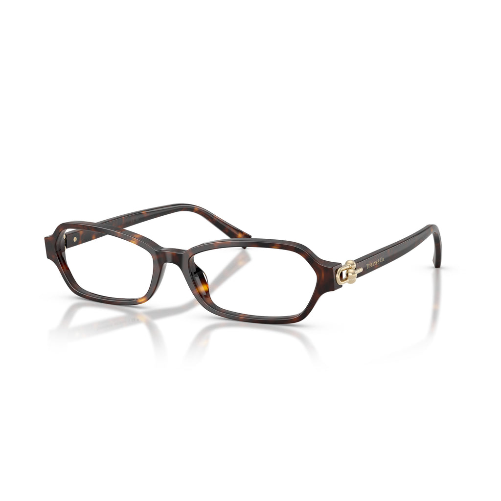 Rectangular Tortoiseshell Acetate Sunglasses With Gold Accents