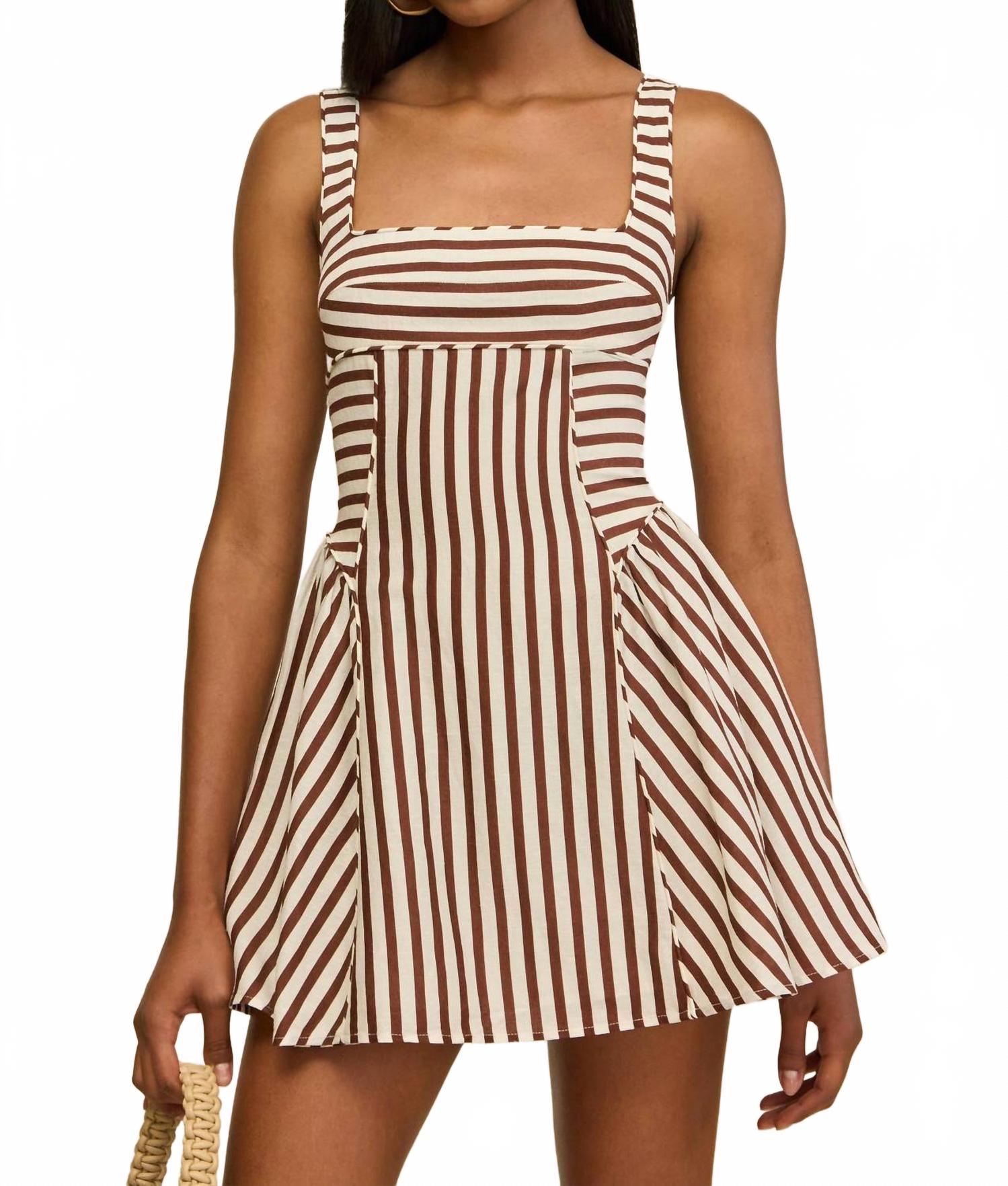 Banks Mini Dress In Saddle Stripe