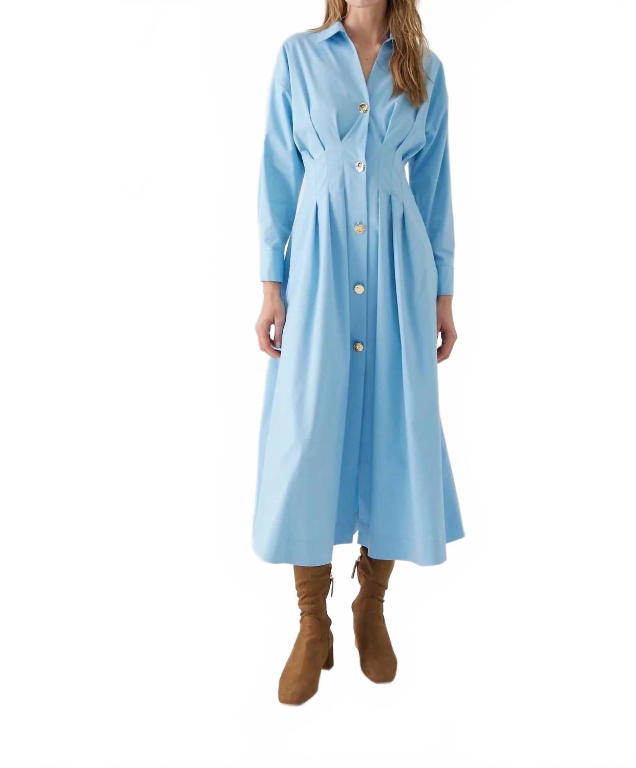 Alba Long Sleeve Dress In Blue