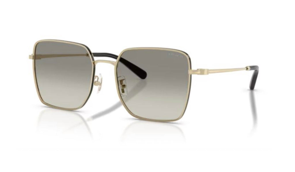 Women's Hc 7184D Sunglasses In Gold/black/grey