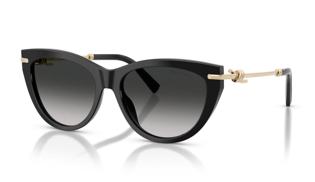 Women's Cat-Eye Sunglasses In Black