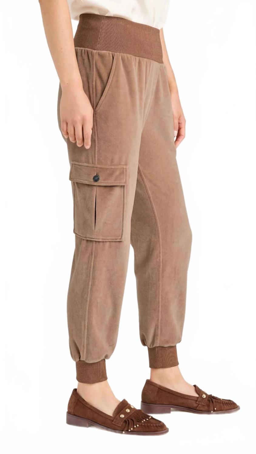 Velour Giles Pant In Mocha