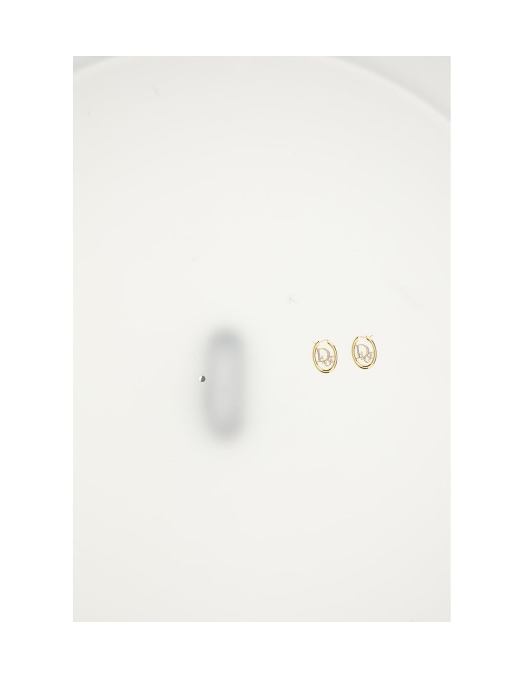 Dior Women Dior Oblique Earrings