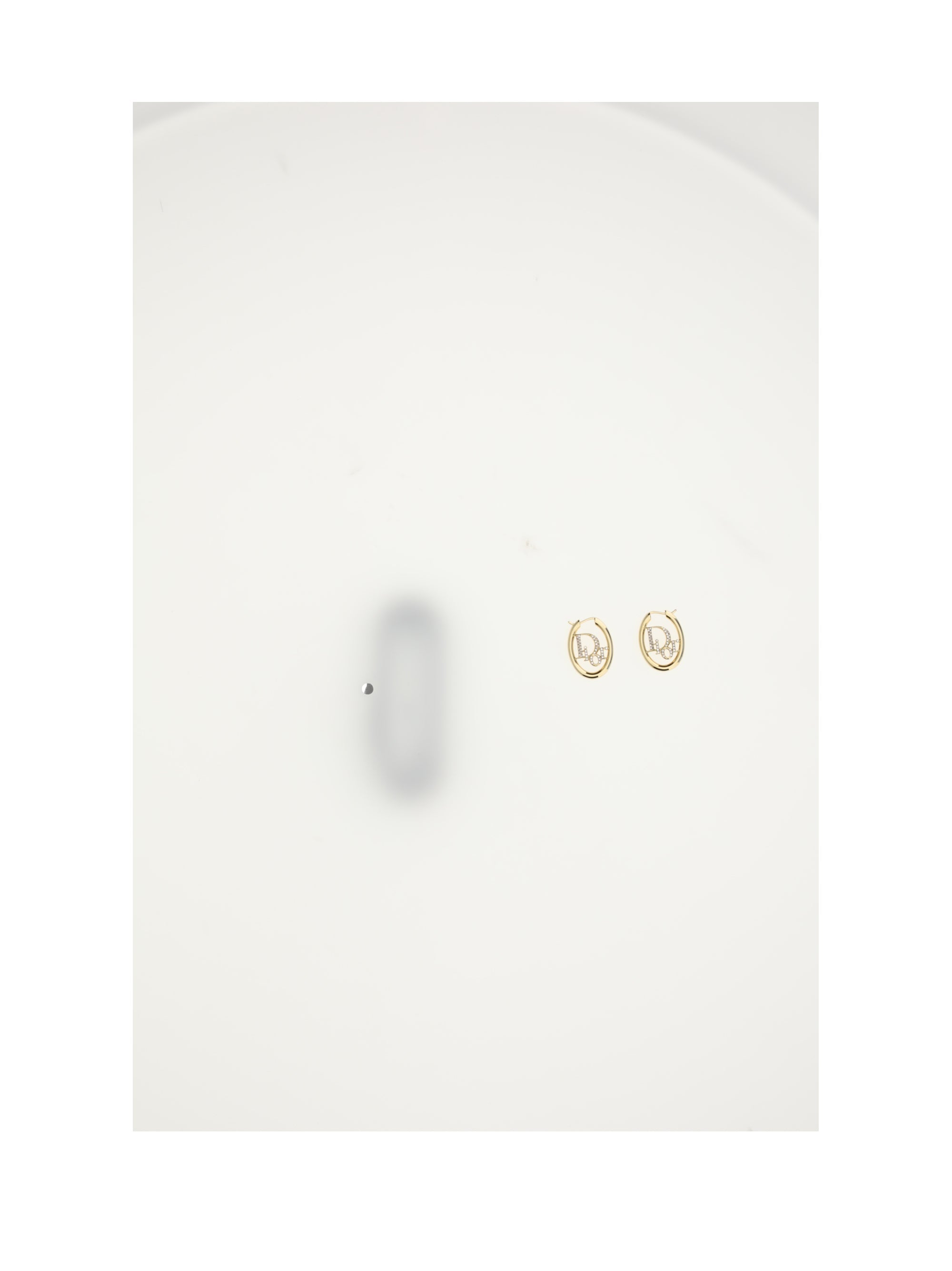Dior Women Dior Oblique Earrings