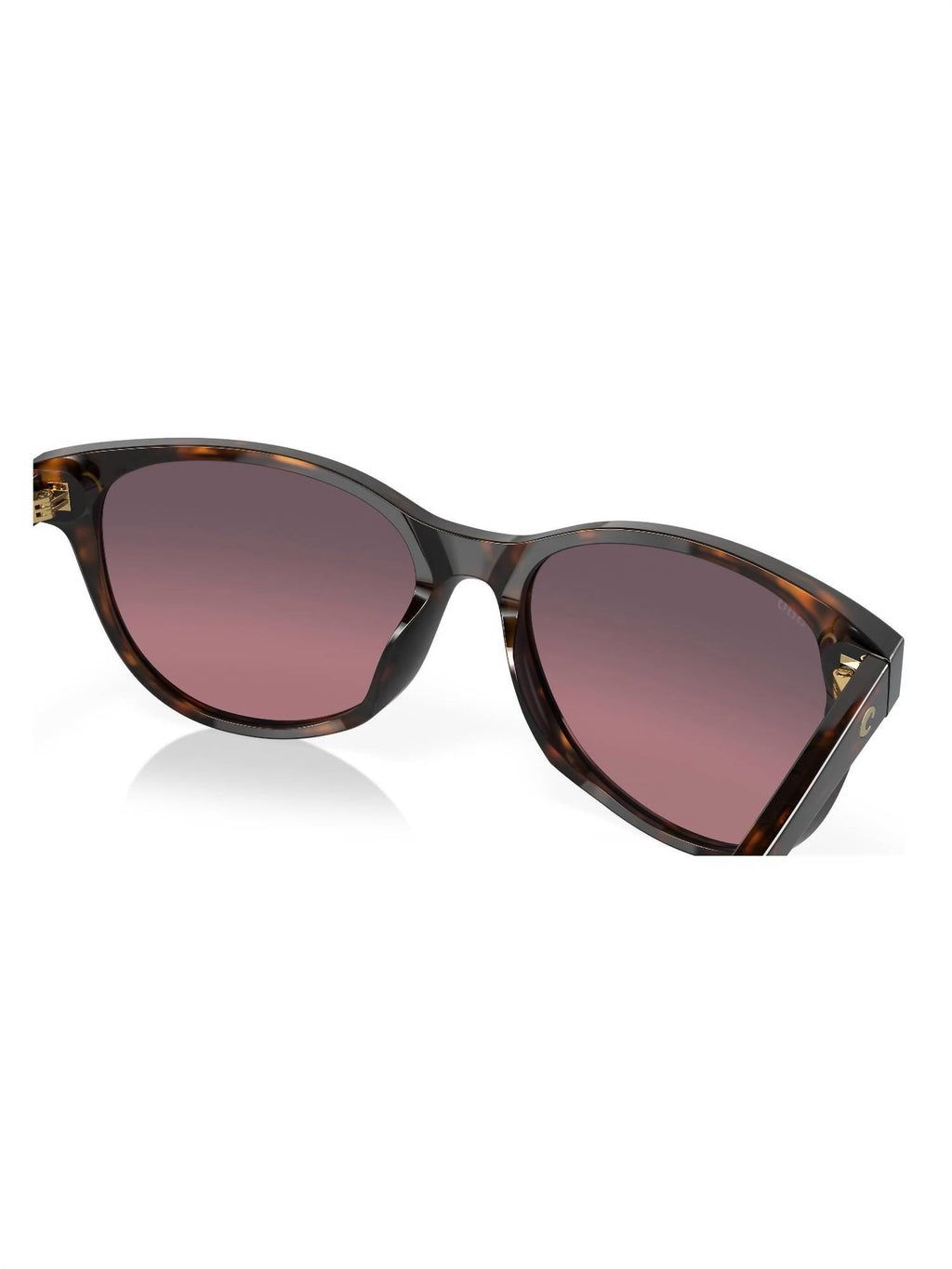 Women's Catherine Sunglasses In Tortoise/rose Gradient