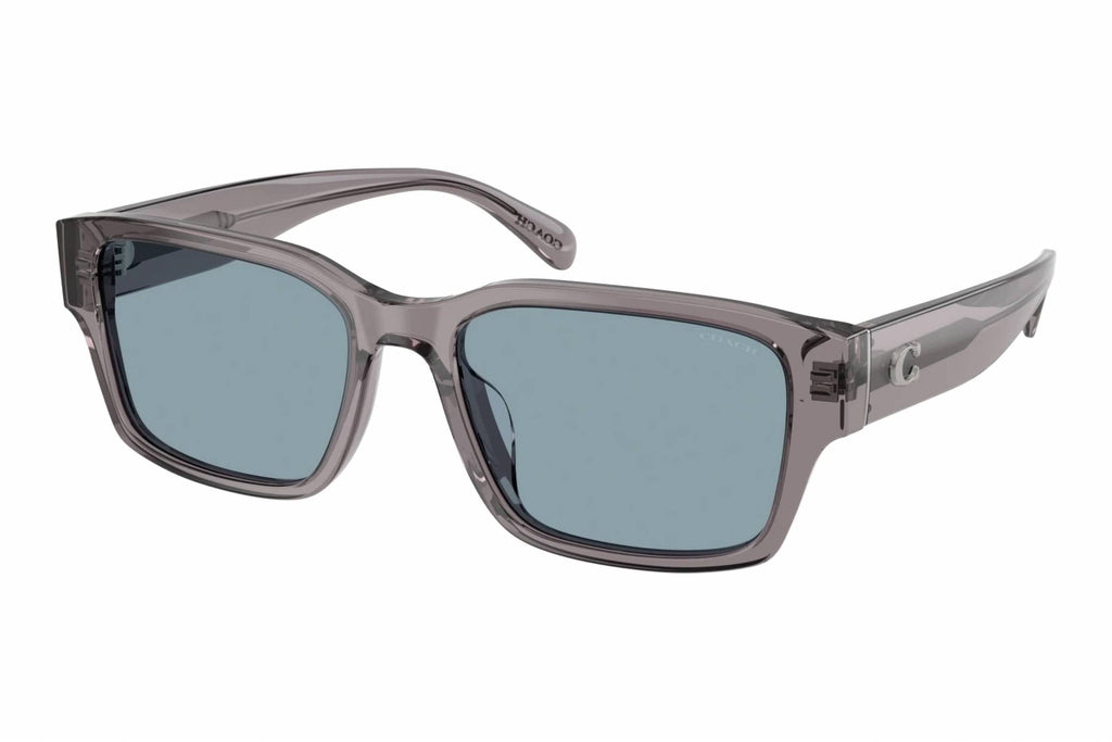 Men's Hc 8441U Sunglasses In Transparent Grey / Light Blue Solid