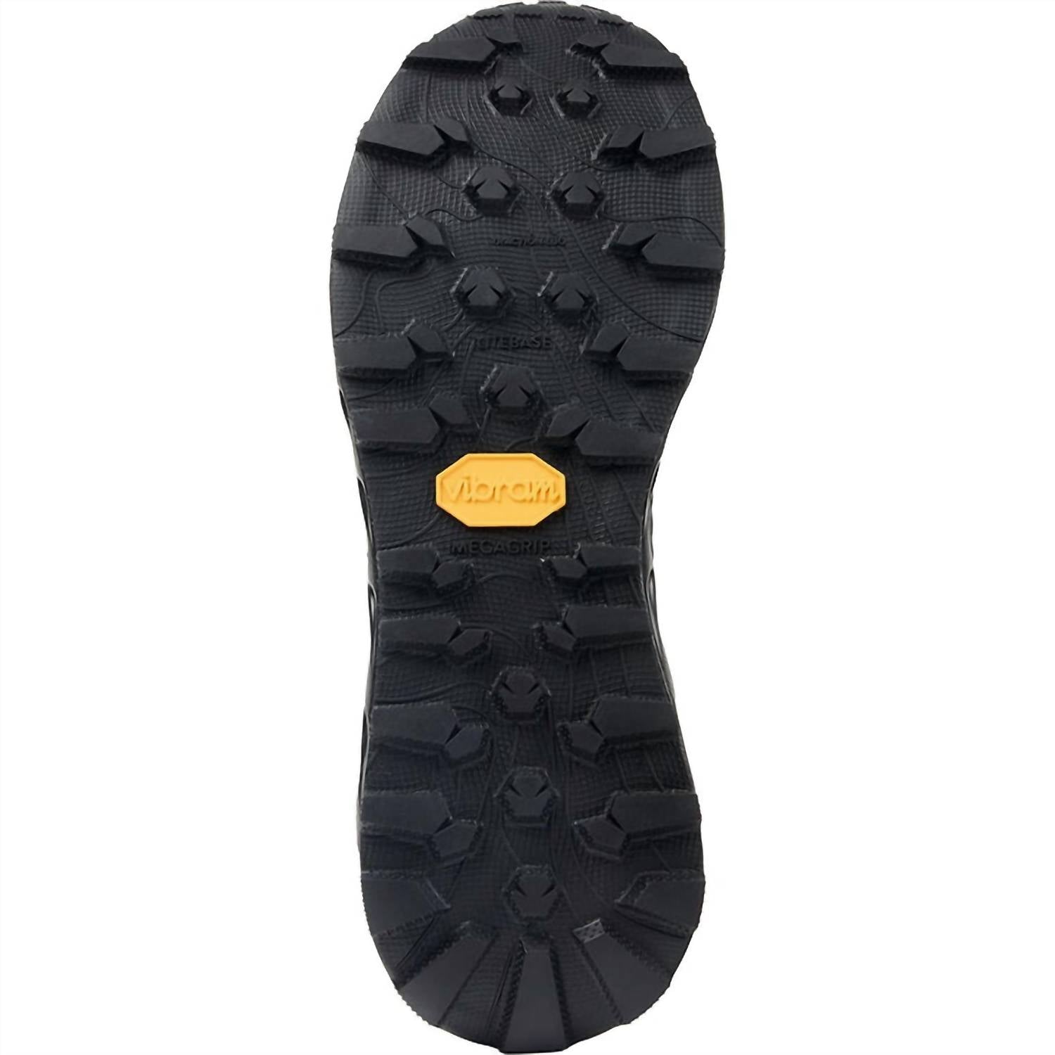 Men's Tomir 2.0 Shoe In Black