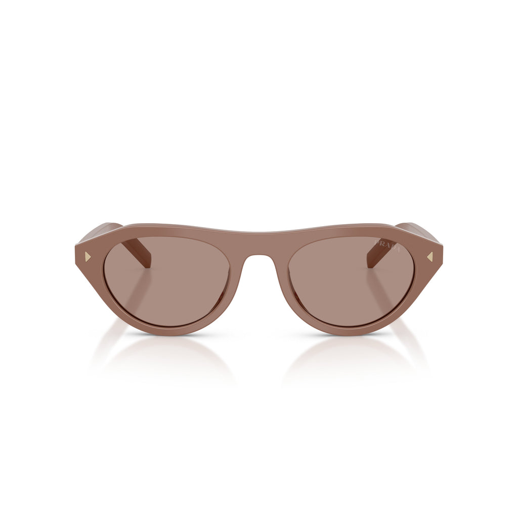 Rounded Cat-Eye Acetate Sunglasses With Gold Accents