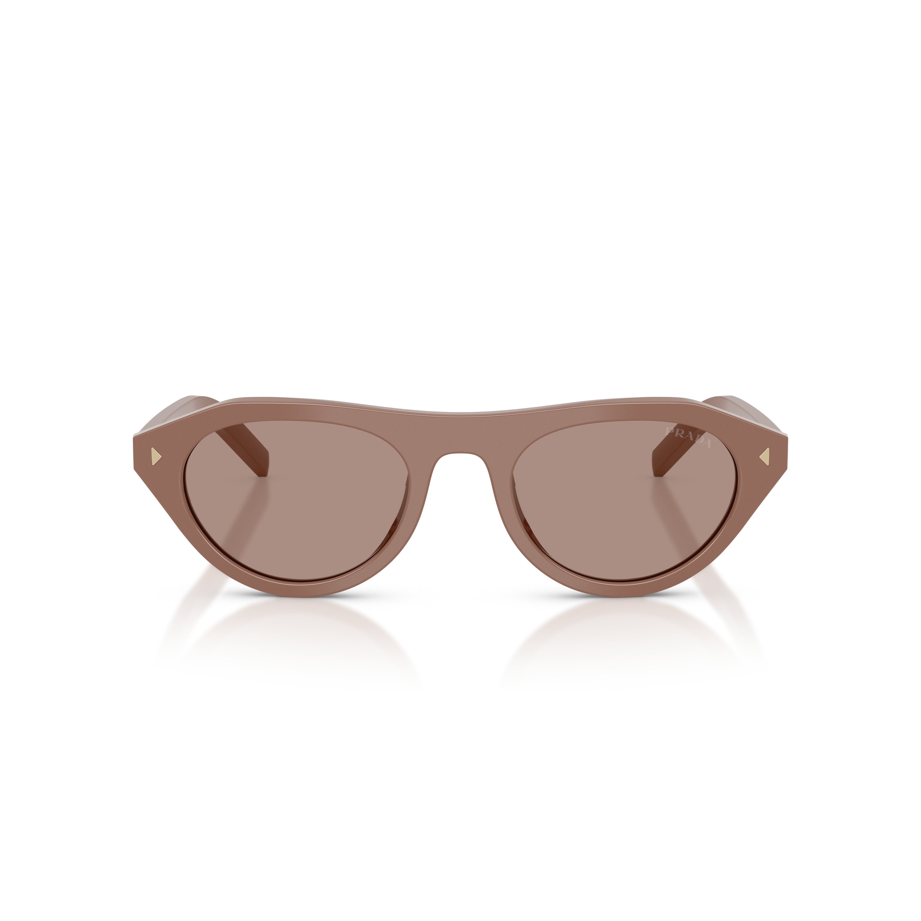 Rounded Cat-Eye Acetate Sunglasses With Gold Accents