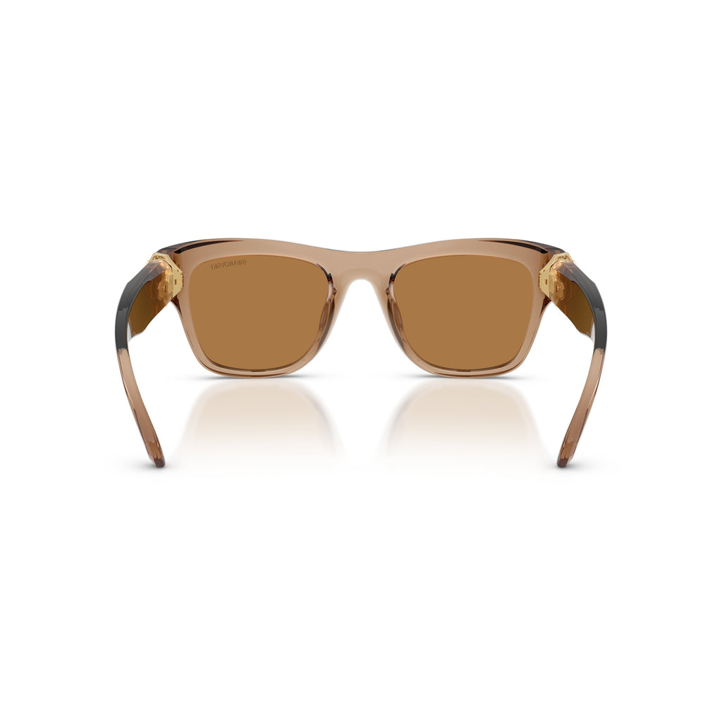 0Sk6056U Translucent Brown Square Sunglasses with Gold-Tone Accents
