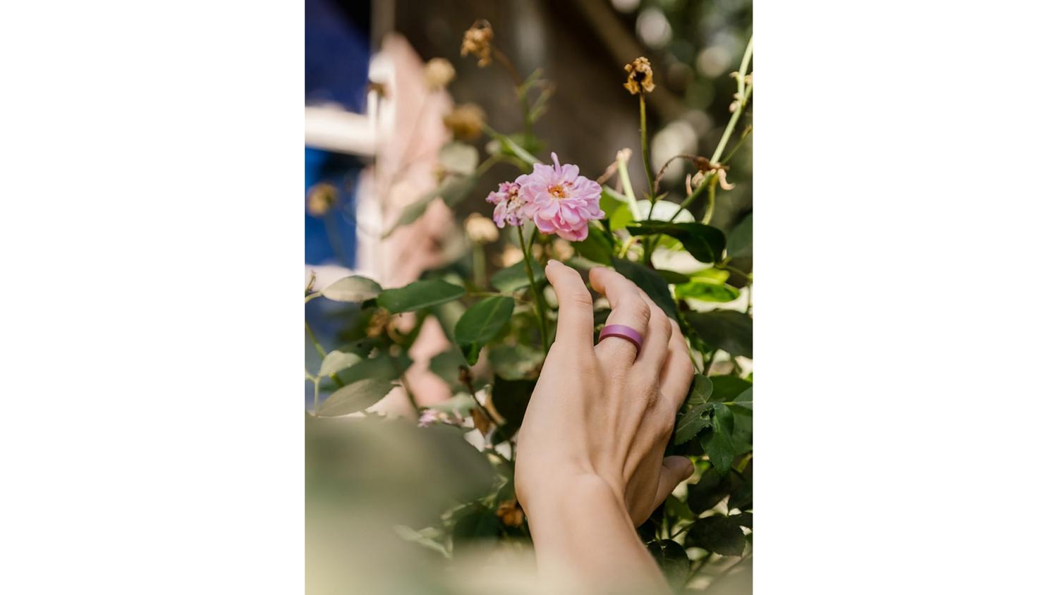 Women's Pela Modern Ring In Cassis