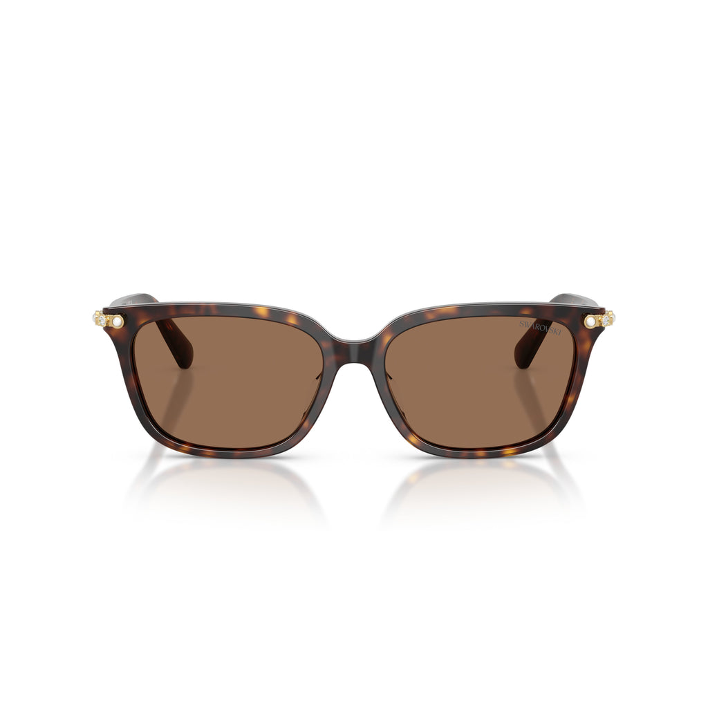 0Sk6064D Rectangular Tortoiseshell Sunglasses with Gold Accents