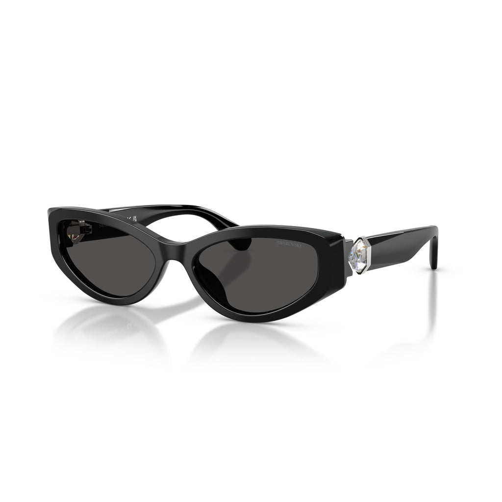 0Sk6045U Cat-Eye Sunglasses with Glossy Black Acetate Frame