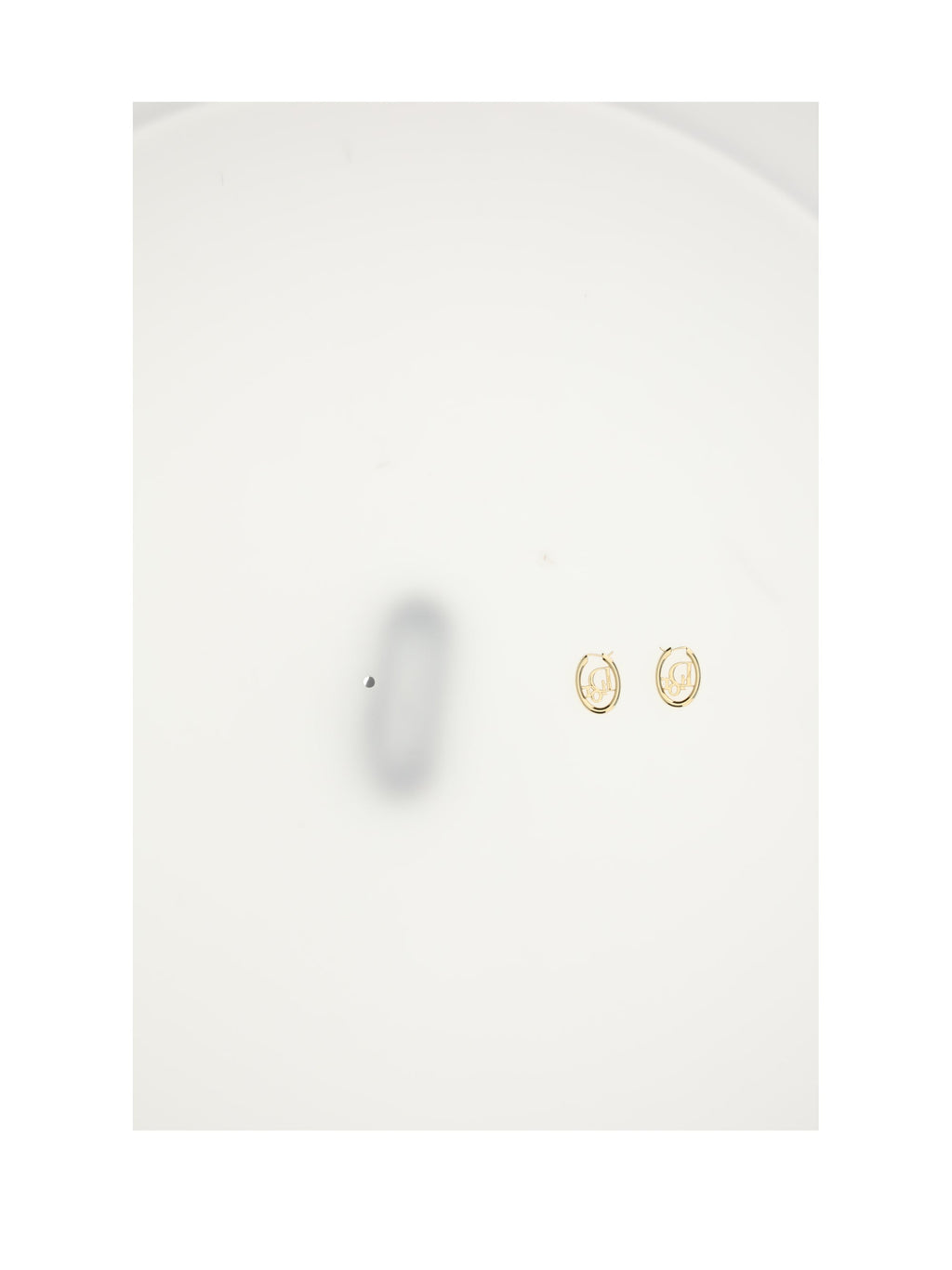 Dior Women Dior Oblique Earrings