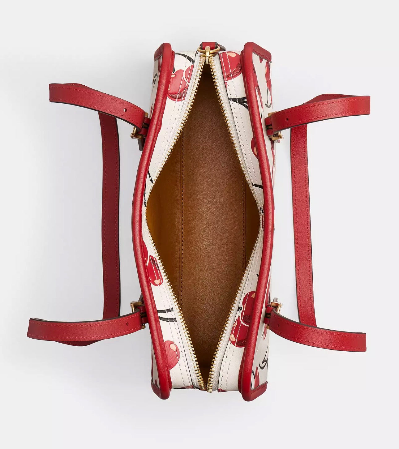 NWT Coach Leather Swing Zip Bag With Cherry Print