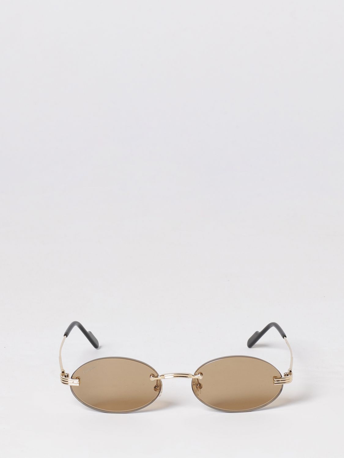 Cartier Sunglasses Woman Earth