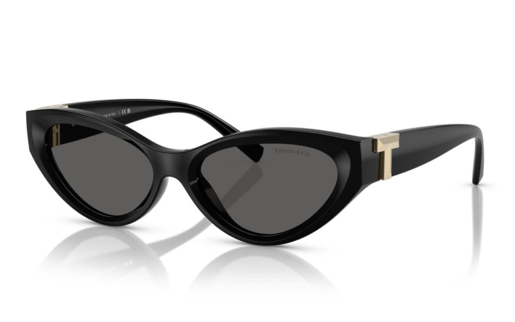 Women's Tf 4225U Sunglasses In Dark Grey