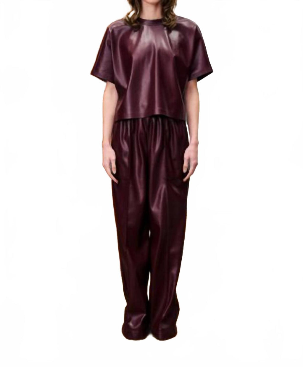 Michaux Faux Leather Pants In Bordeaux
