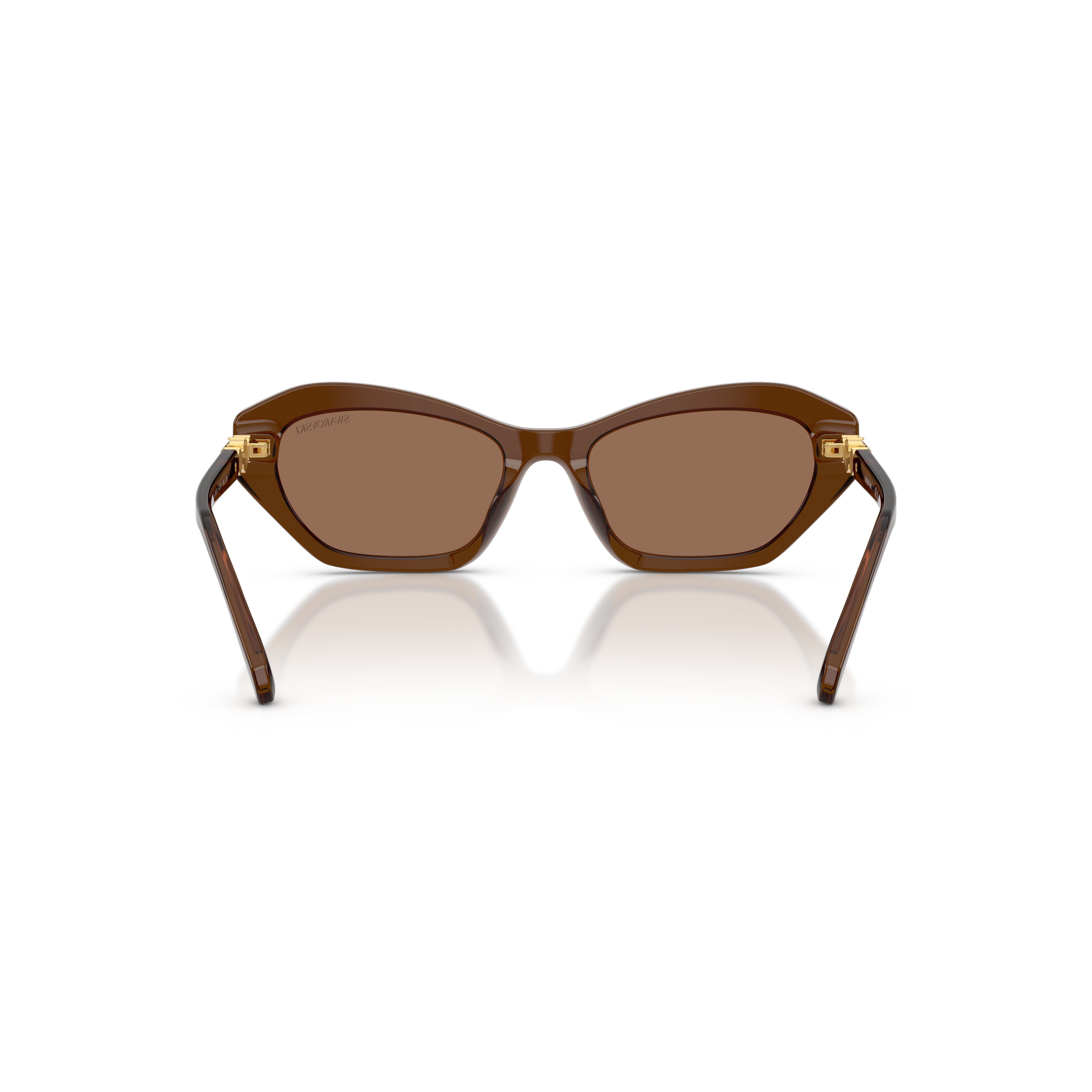 0Sk6048 Geometric Cat-Eye Sunglasses with Gold Accents