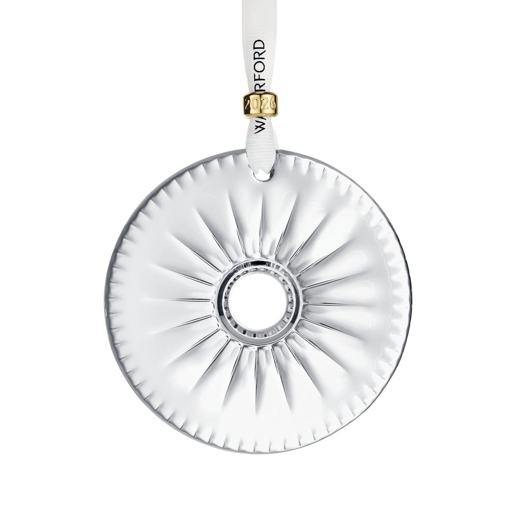 New Year Disc Firework