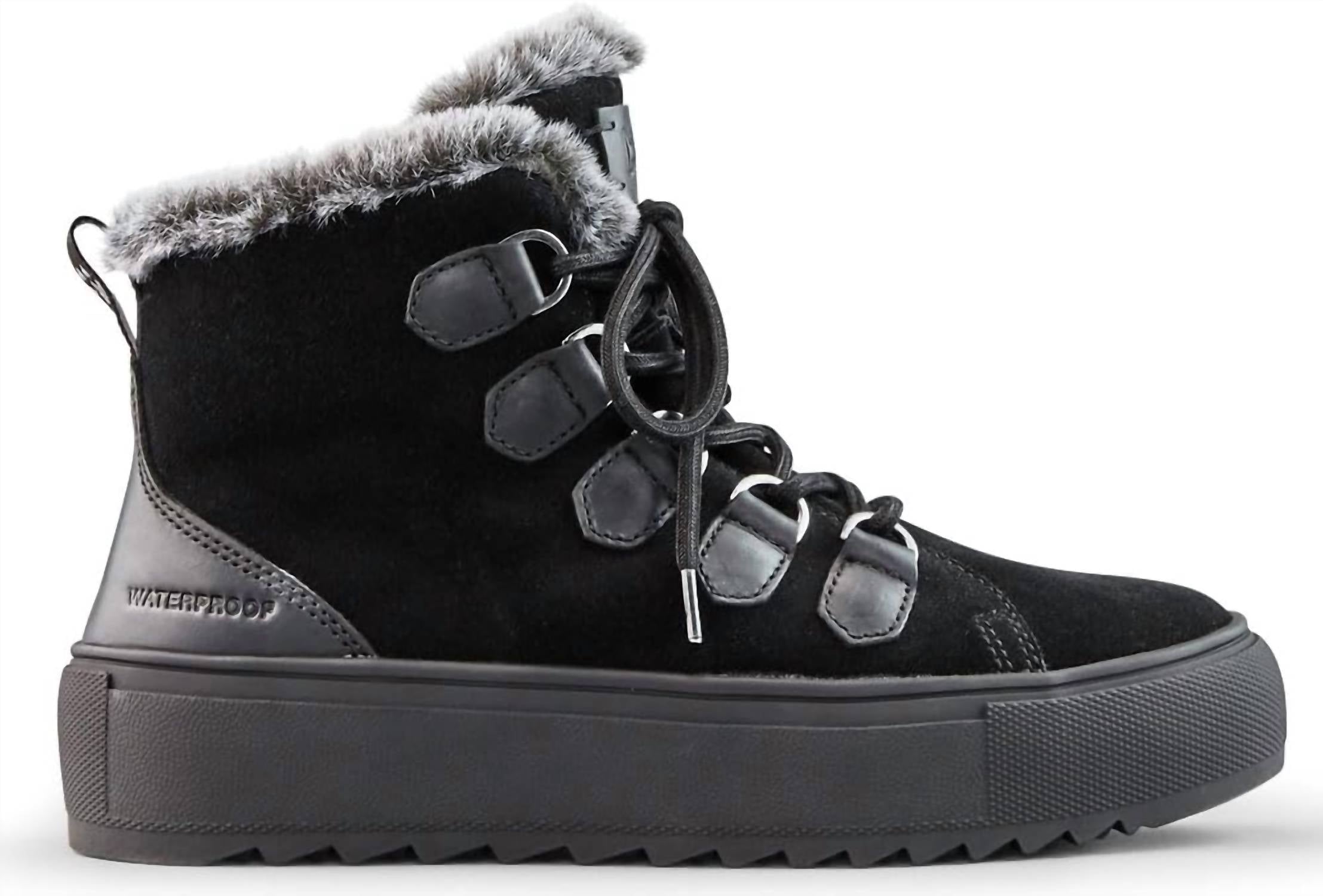 Women's Avril Winter Ankle Boots In Black All