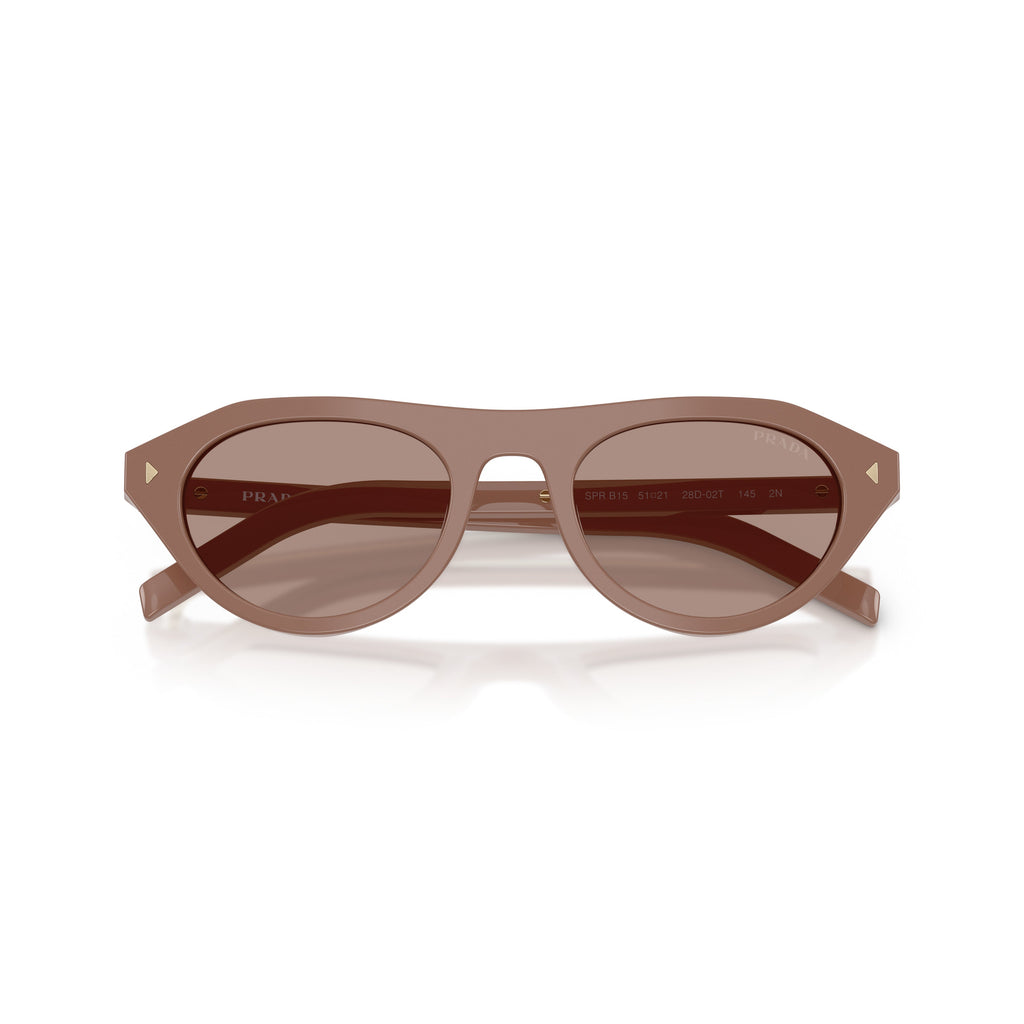Rounded Cat-Eye Acetate Sunglasses With Gold Accents