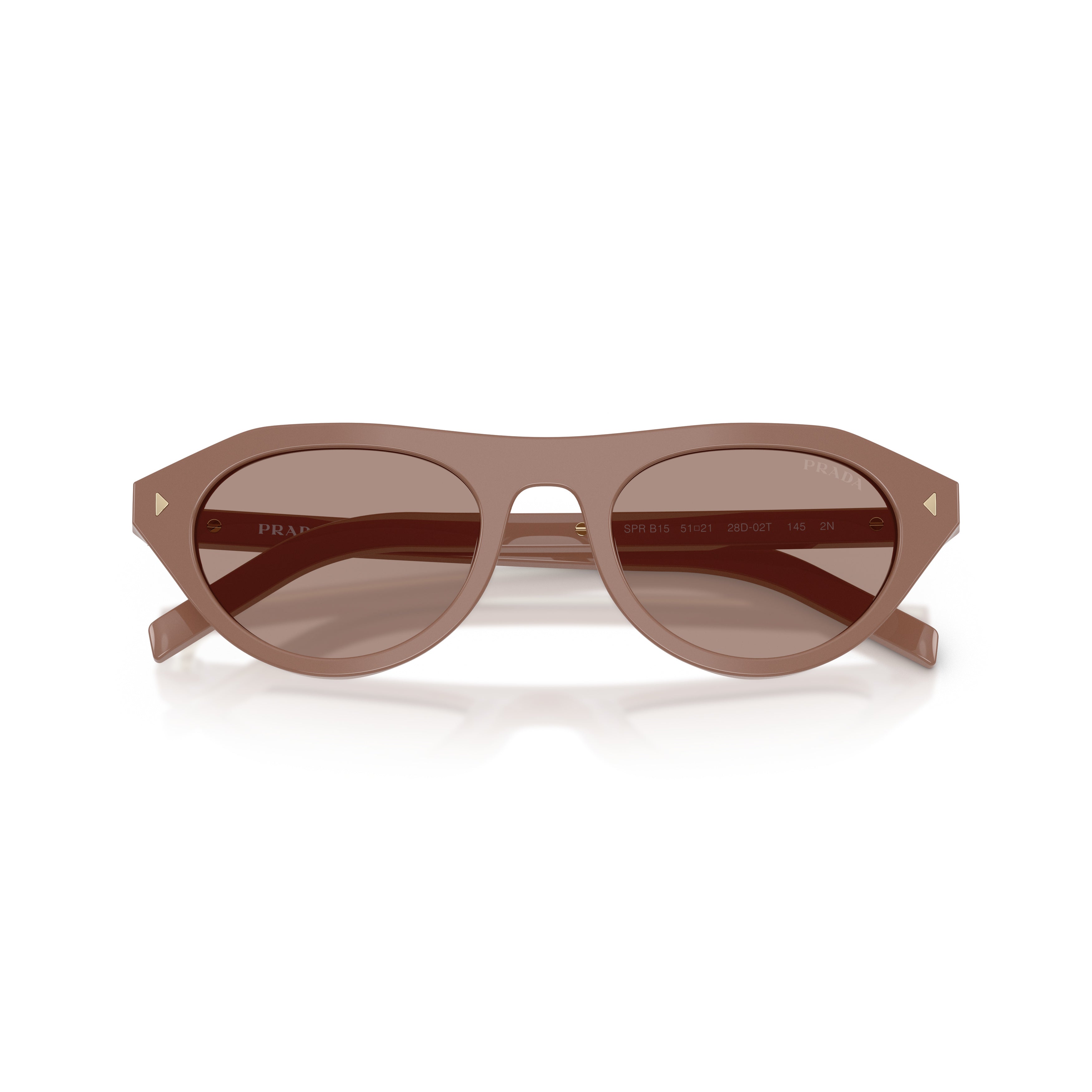 Rounded Cat-Eye Acetate Sunglasses With Gold Accents