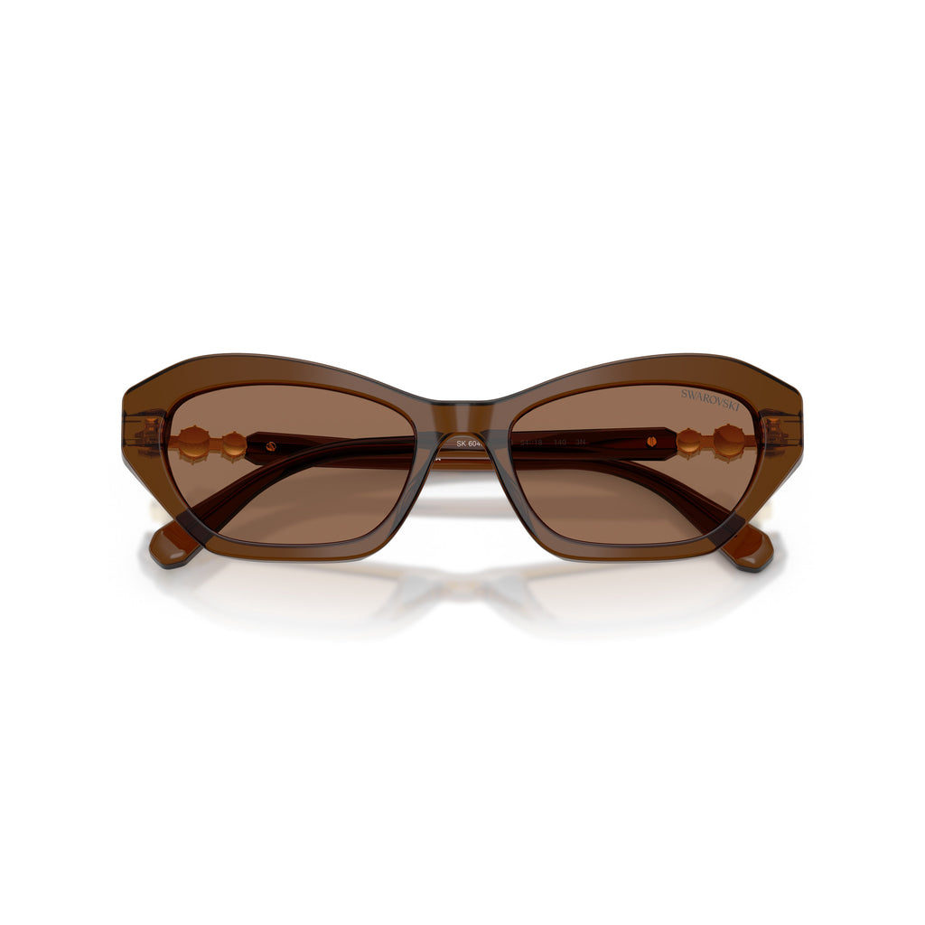 0Sk6048 Geometric Cat-Eye Sunglasses with Gold Accents