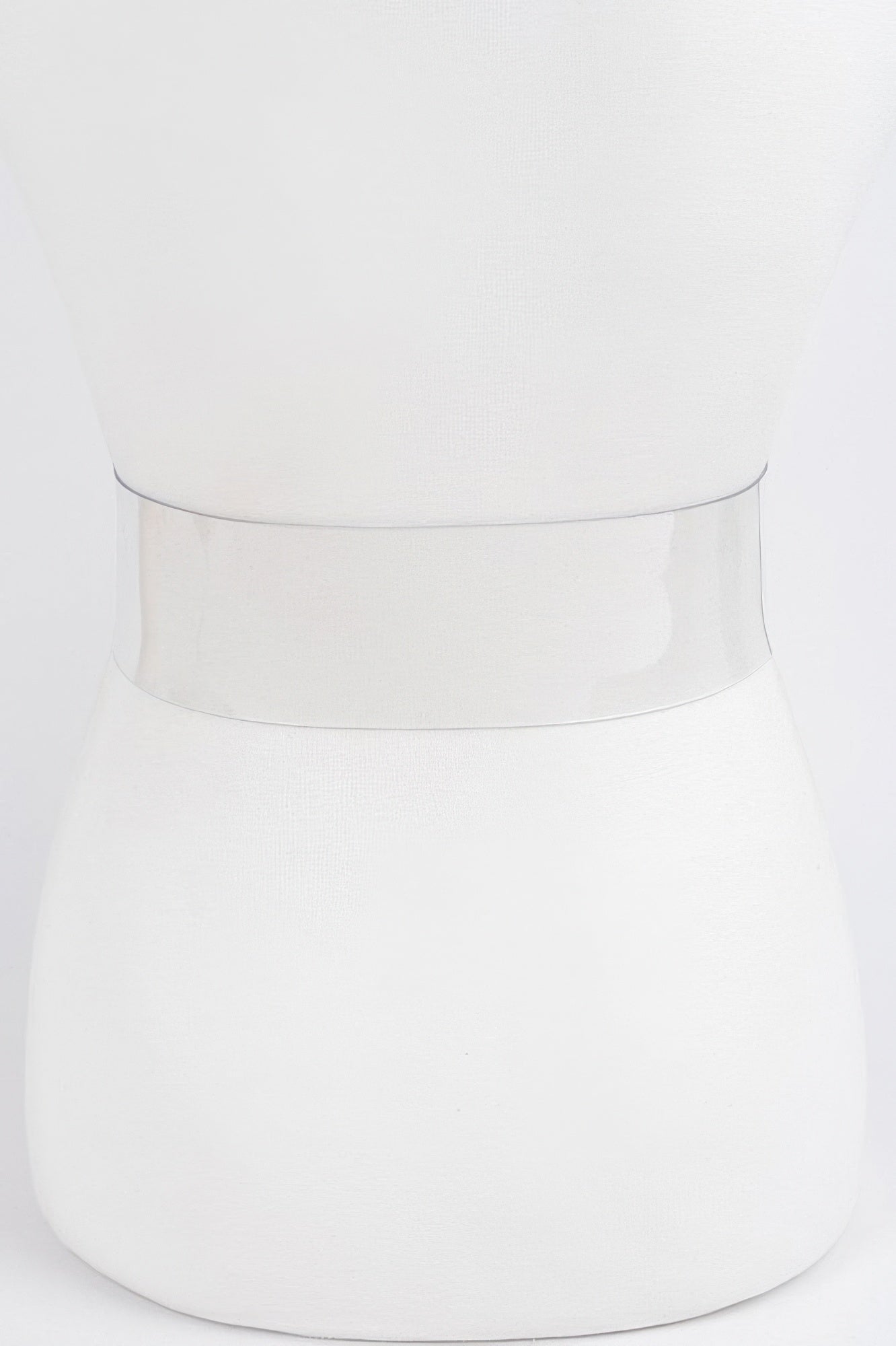 Clear Waist Belt with Metal Hardware Modern Style