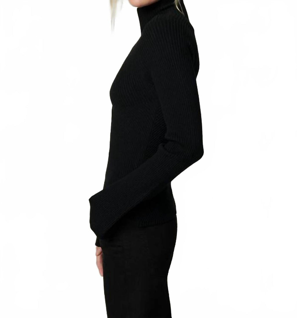 Palmer Turtleneck Top In Black