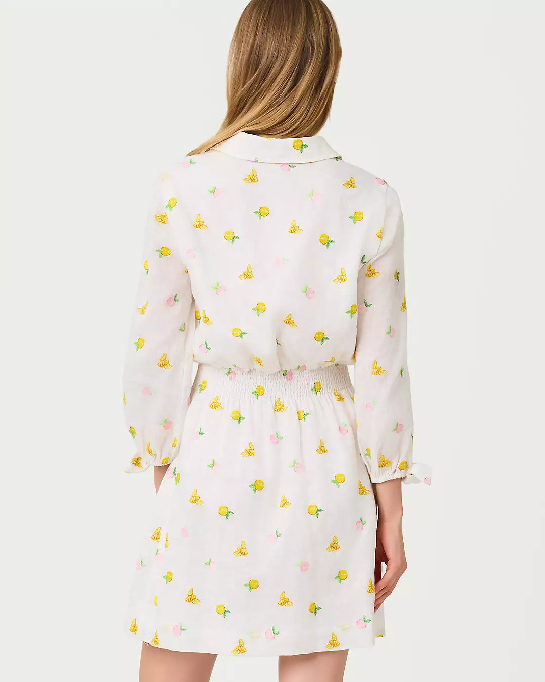 Abralynn Embroidered Linen Shirtdress