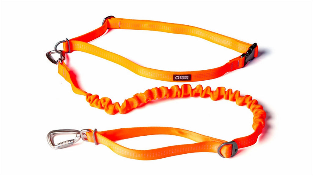 Stunt Runner Hands-Free Leash In Orange