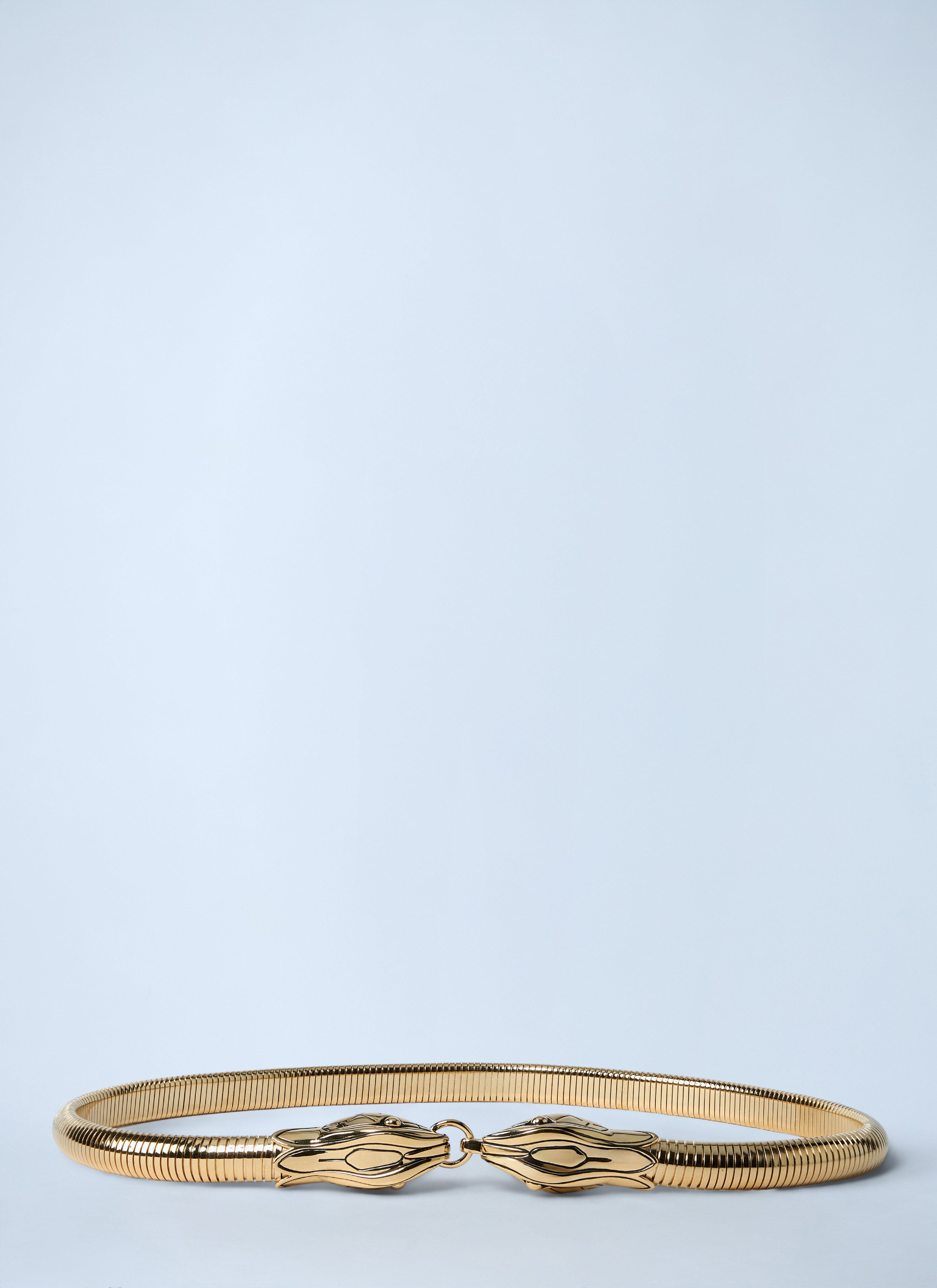 Chloé Women Snake Belt