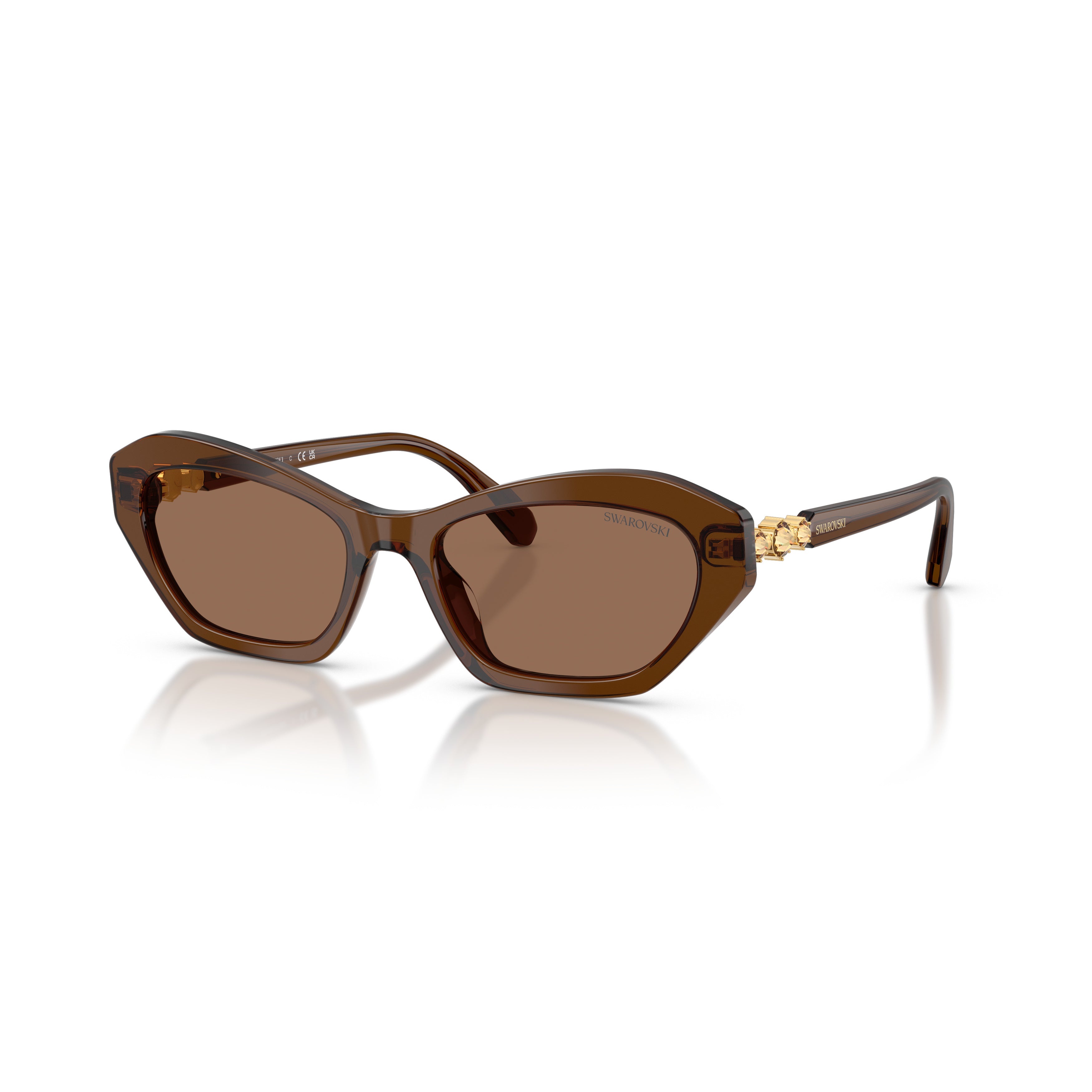 0Sk6048 Geometric Cat-Eye Sunglasses with Gold Accents
