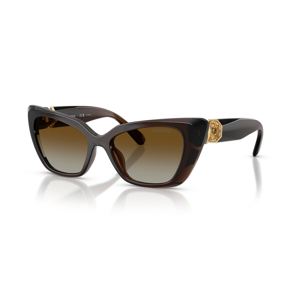 0Sk6047 Bold Cat-Eye Sunglasses with Gold-Tone Embellishments