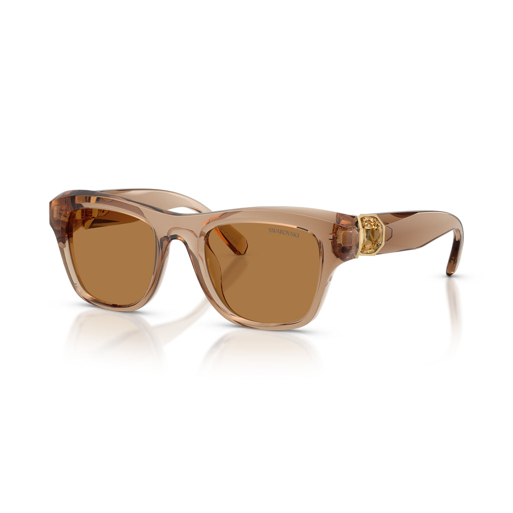 0Sk6056U Translucent Brown Square Sunglasses with Gold-Tone Accents