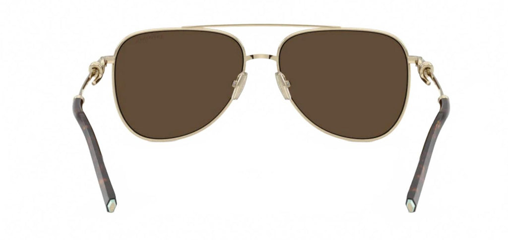 Unisex Tf 3116 Sunglasses In Gold/brown