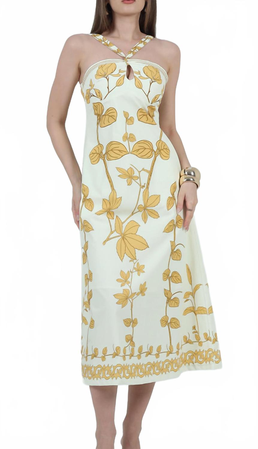 Zoey Printed Halter Neck Maxi Dress In Ivory And Honey Gold