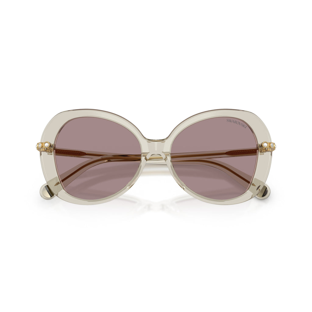 0Sk6059 Large Rounded Acetate Sunglasses with Gold-Toned Temples