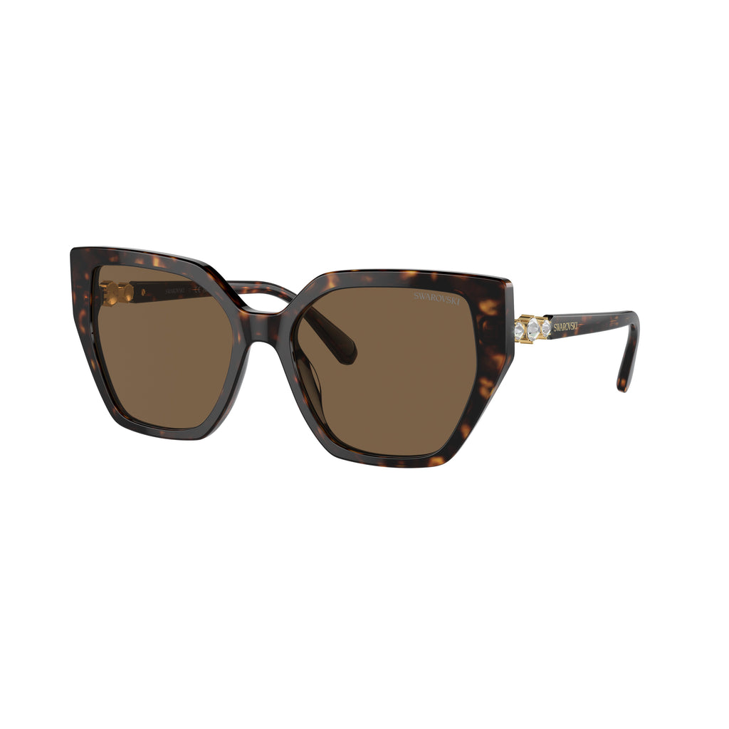 0Sk6016 Oversized Cat-Eye Sunglasses with Tortoiseshell Acetate