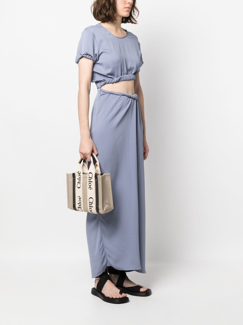 Chloé Women Woody Small Linen Tote Bag