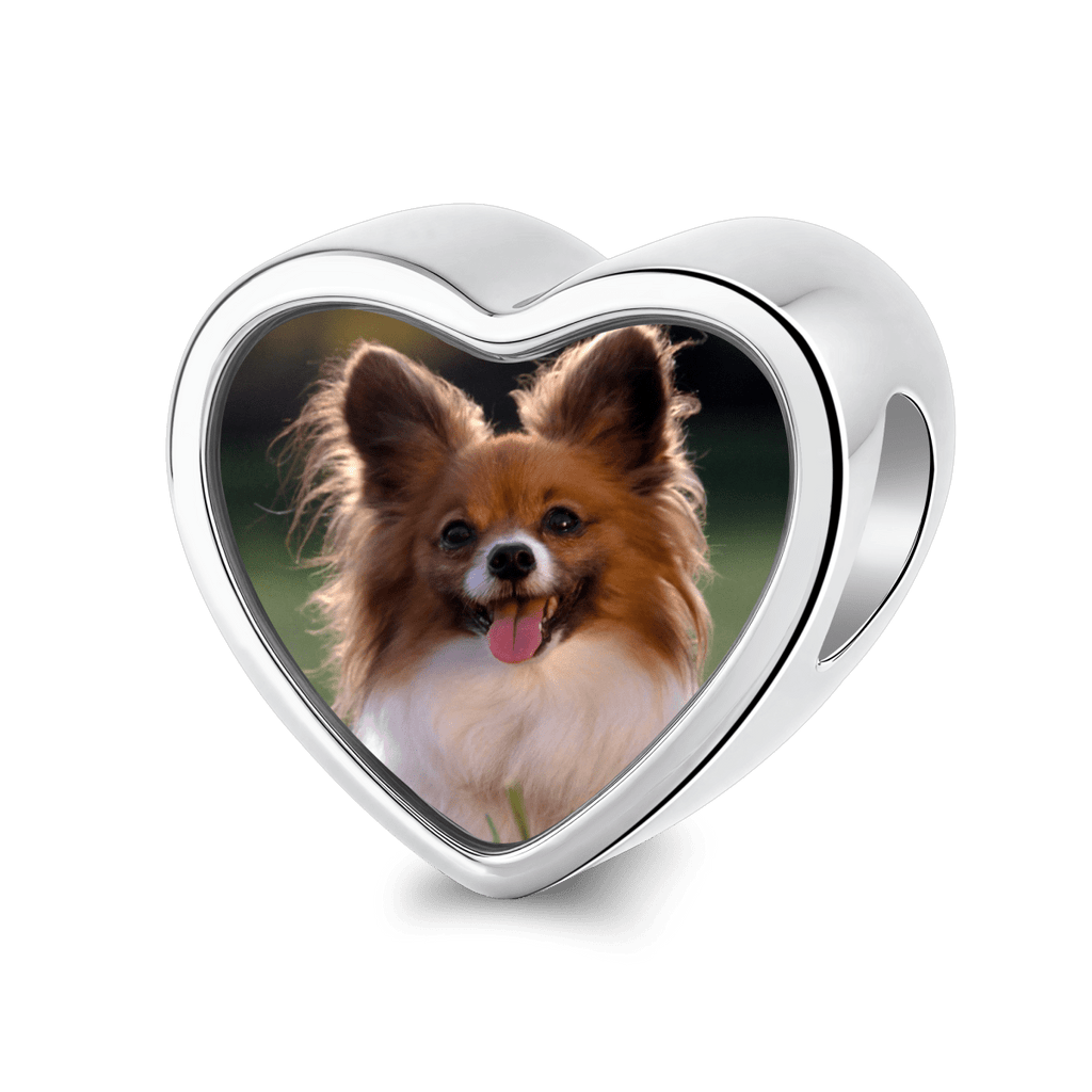 Personalized Pet Photo & Engraved Paw Print Heart Charm